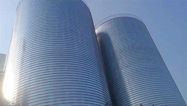 建平2座混凝土高架卷板仓